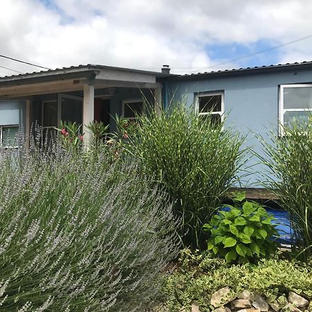 Kisvakond Vendégház Jeno Exterior foto