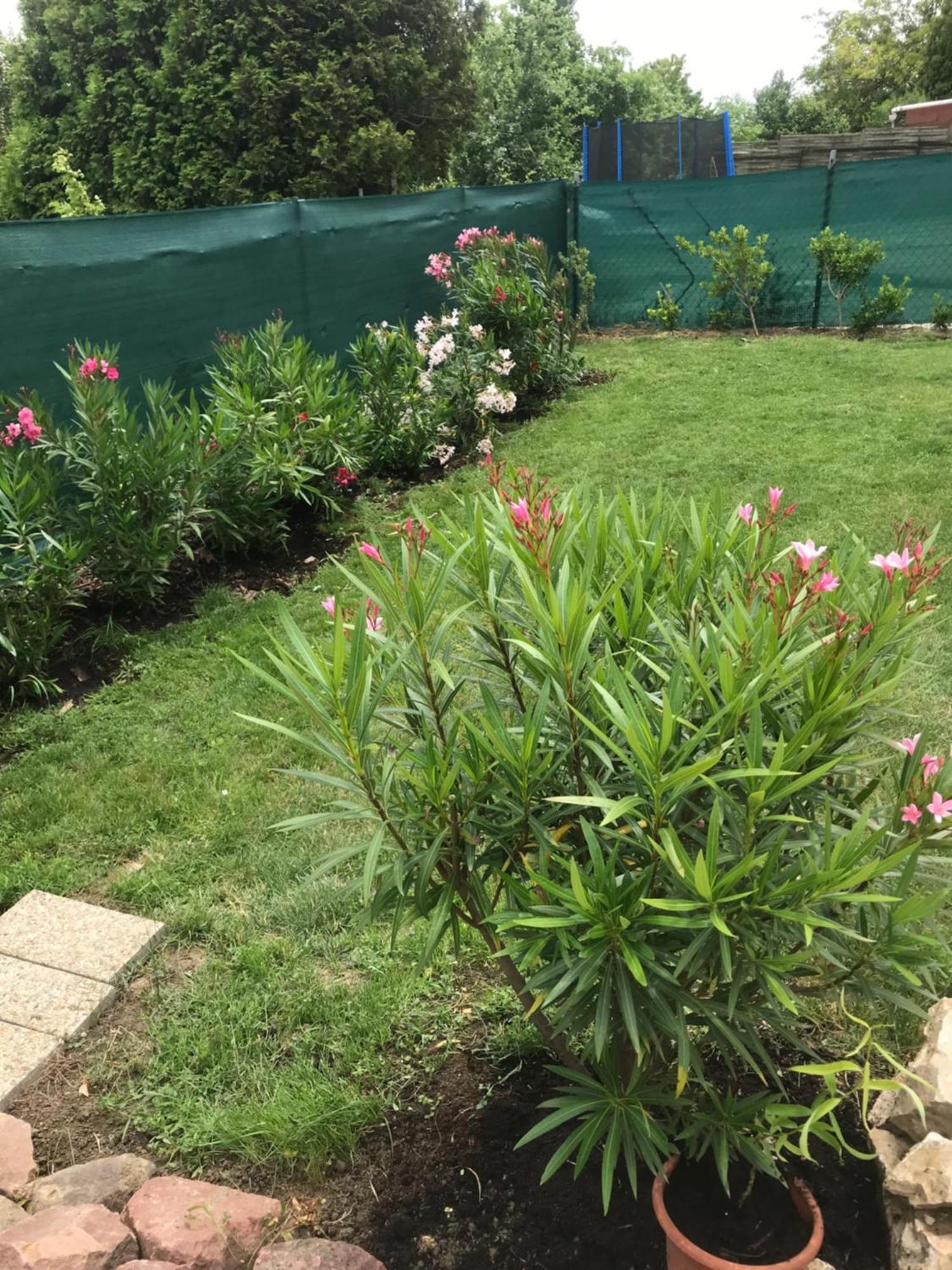 Kisvakond Vendégház Jeno Exterior foto